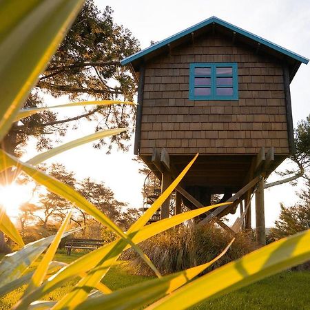 Tui Ridge Eco Cabins Aongatete Kültér fotó