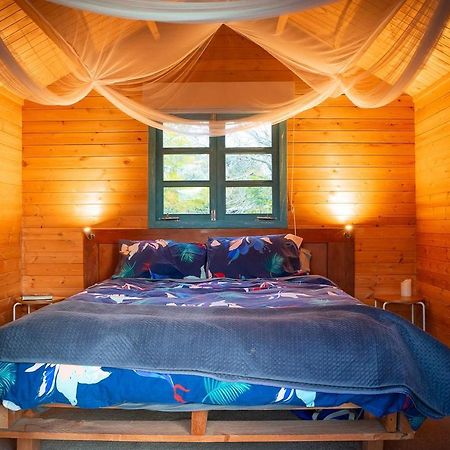 Tui Ridge Eco Cabins Aongatete Kültér fotó