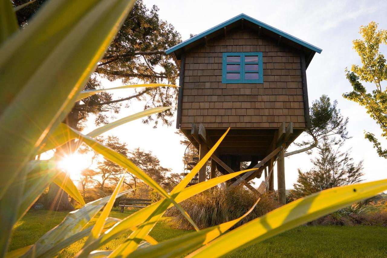 Tui Ridge Eco Cabins Aongatete Kültér fotó