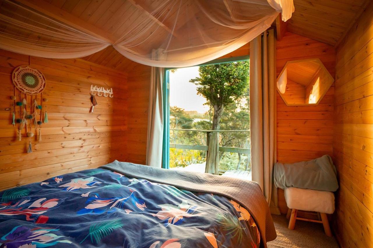Tui Ridge Eco Cabins Aongatete Kültér fotó