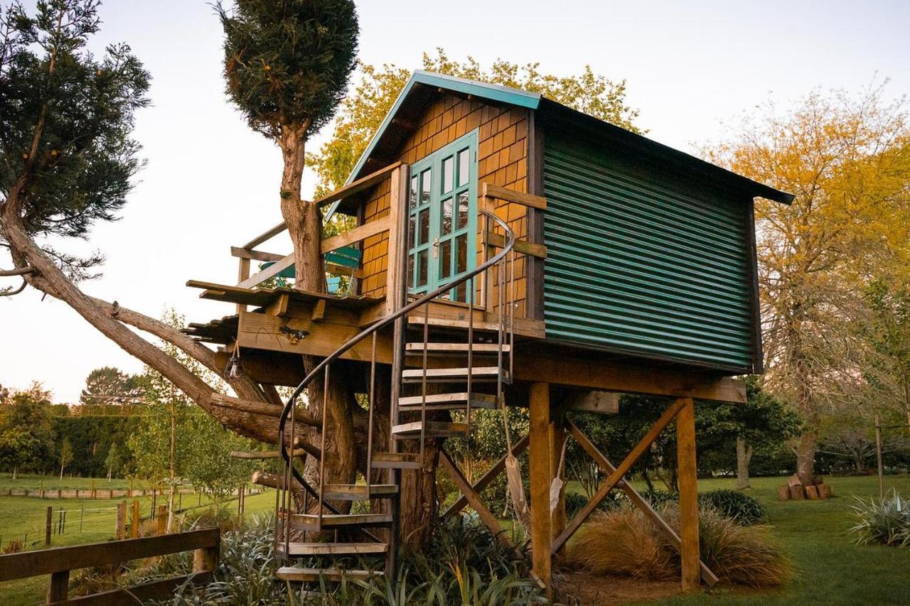 Tui Ridge Eco Cabins Aongatete Kültér fotó