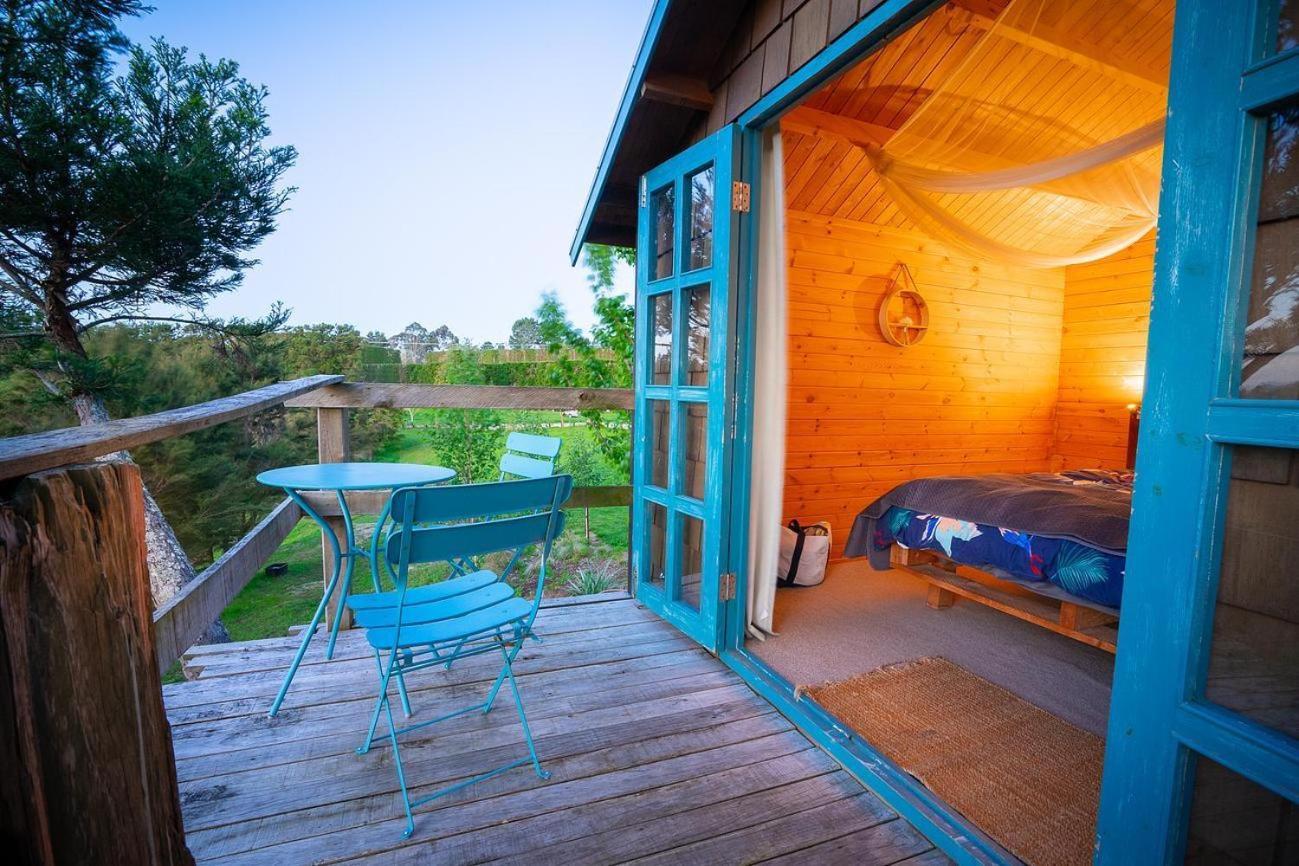 Tui Ridge Eco Cabins Aongatete Kültér fotó