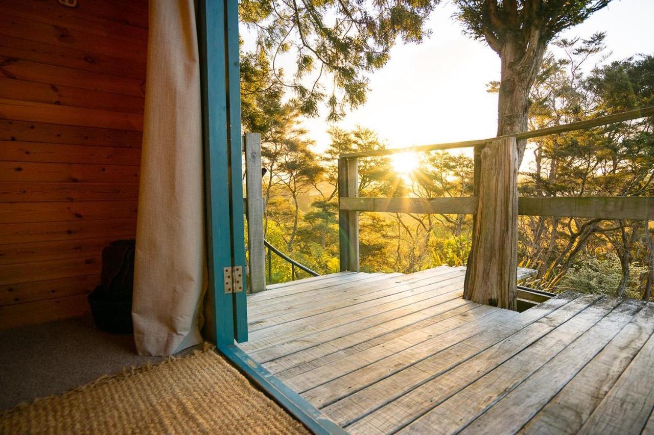 Tui Ridge Eco Cabins Aongatete Kültér fotó