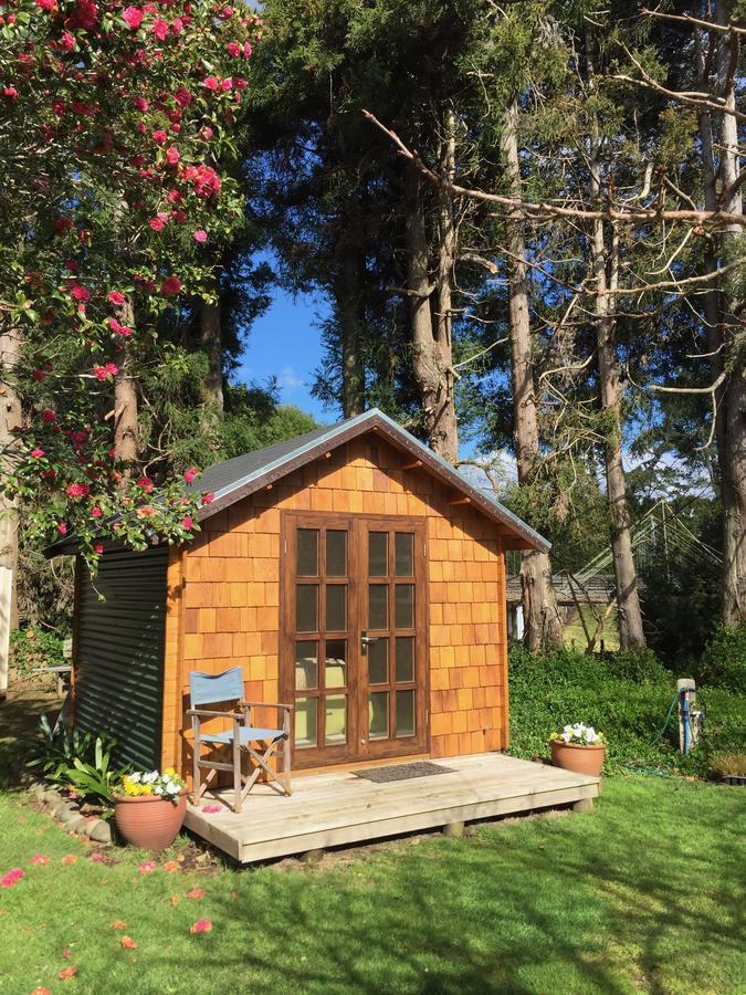 Tui Ridge Eco Cabins Aongatete Kültér fotó