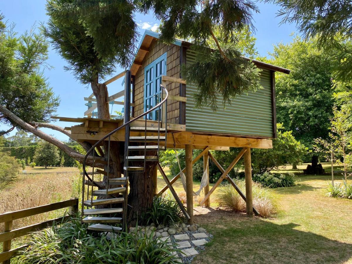 Tui Ridge Eco Cabins Aongatete Kültér fotó