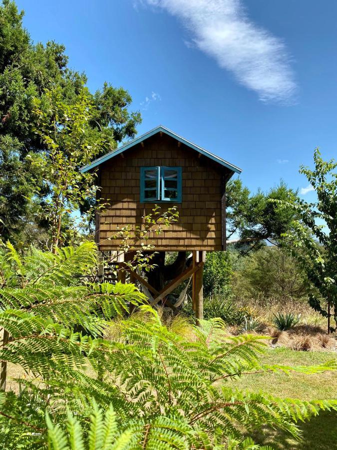 Tui Ridge Eco Cabins Aongatete Kültér fotó