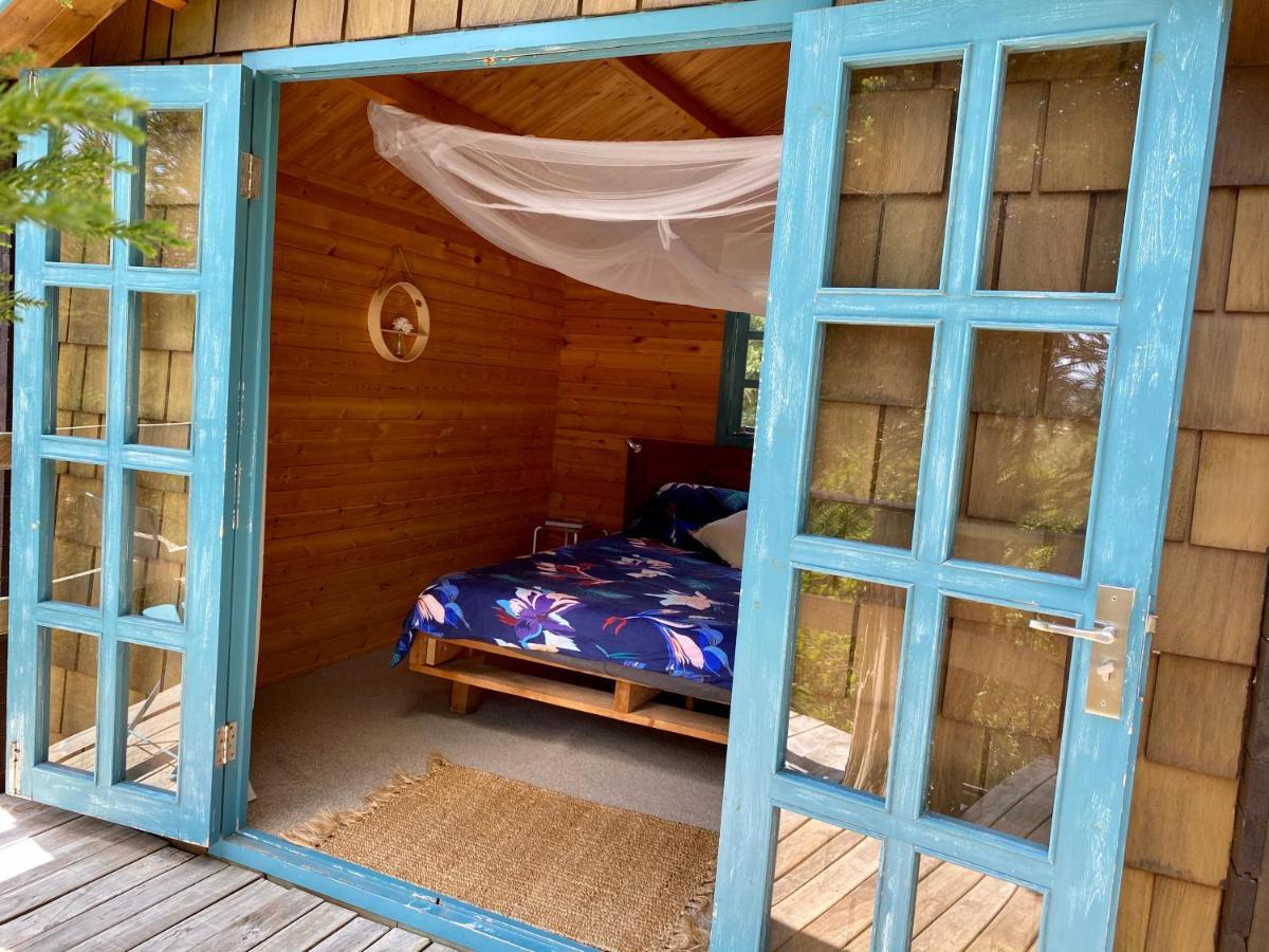 Tui Ridge Eco Cabins Aongatete Kültér fotó